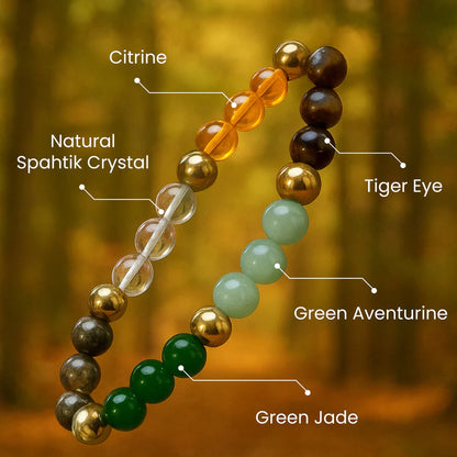 Sampurn Dhan Combo with Free Selenite Plate